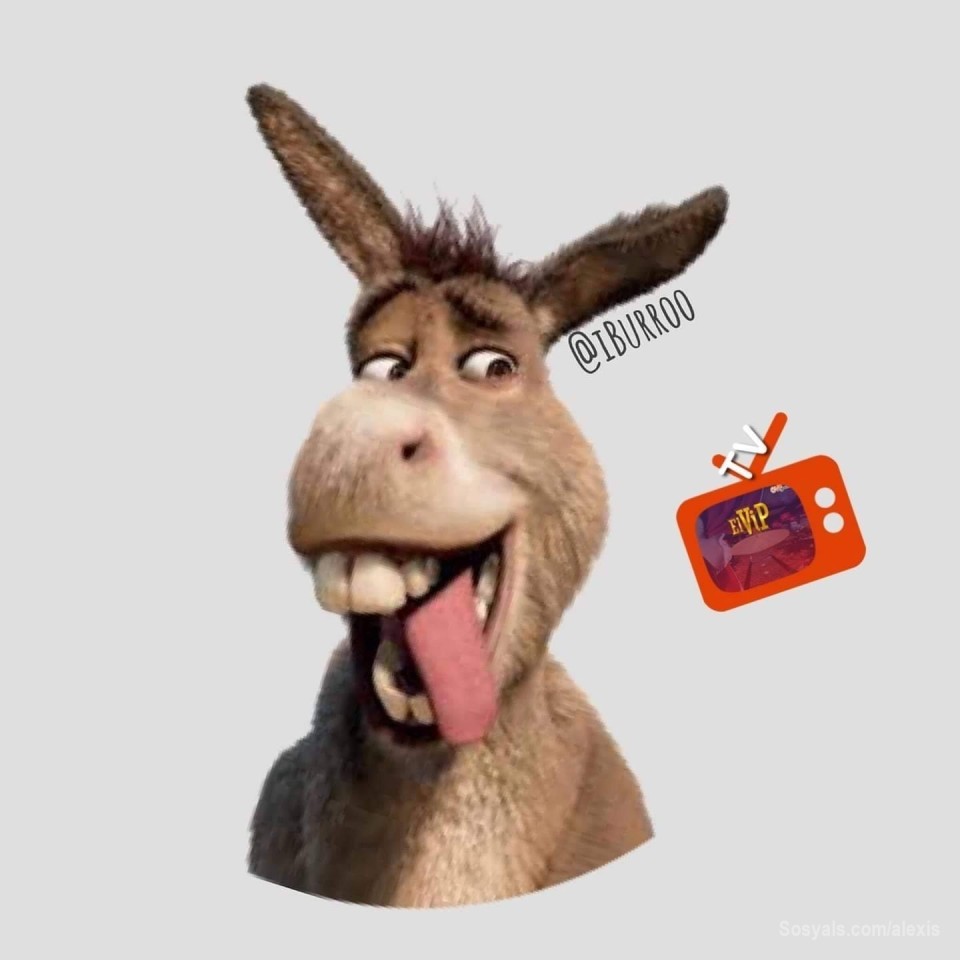 #MisRedesSociales
El #Burro de #Shrek +1.3 millones de seguidores 
Es uno de mis personajes de mis películas favoritas porque hace mucho match con la cultura mexicana por eso fue una de mis primeras páginas de tributo en la que publicamos todo lo referente a esta exitosa saga y también todo sobre películas animadas, comedia y México.
https://www.facebook.com/iburroo