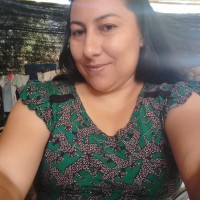 lida45334