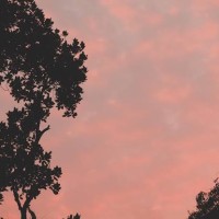Pinksoul